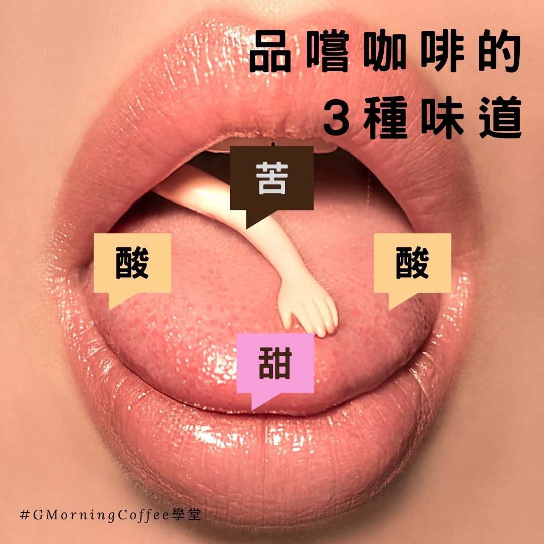 咖啡的3種主要味道，是如何產生的？